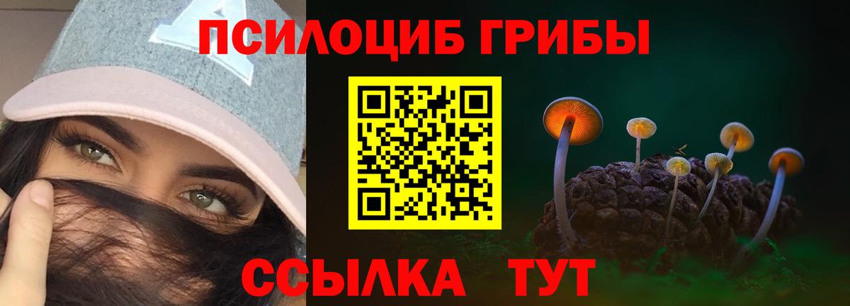 Галлюциногенные грибы Psilocybine cubensis Артём